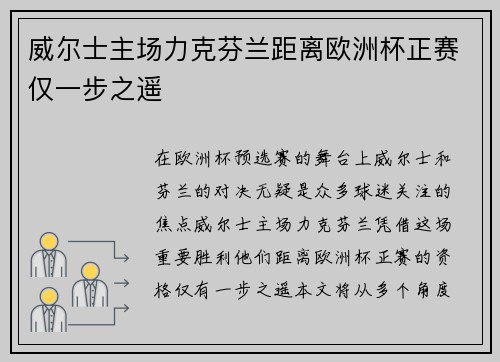 威尔士主场力克芬兰距离欧洲杯正赛仅一步之遥 威尔士主场力克芬兰距离欧洲杯正赛仅一步之遥